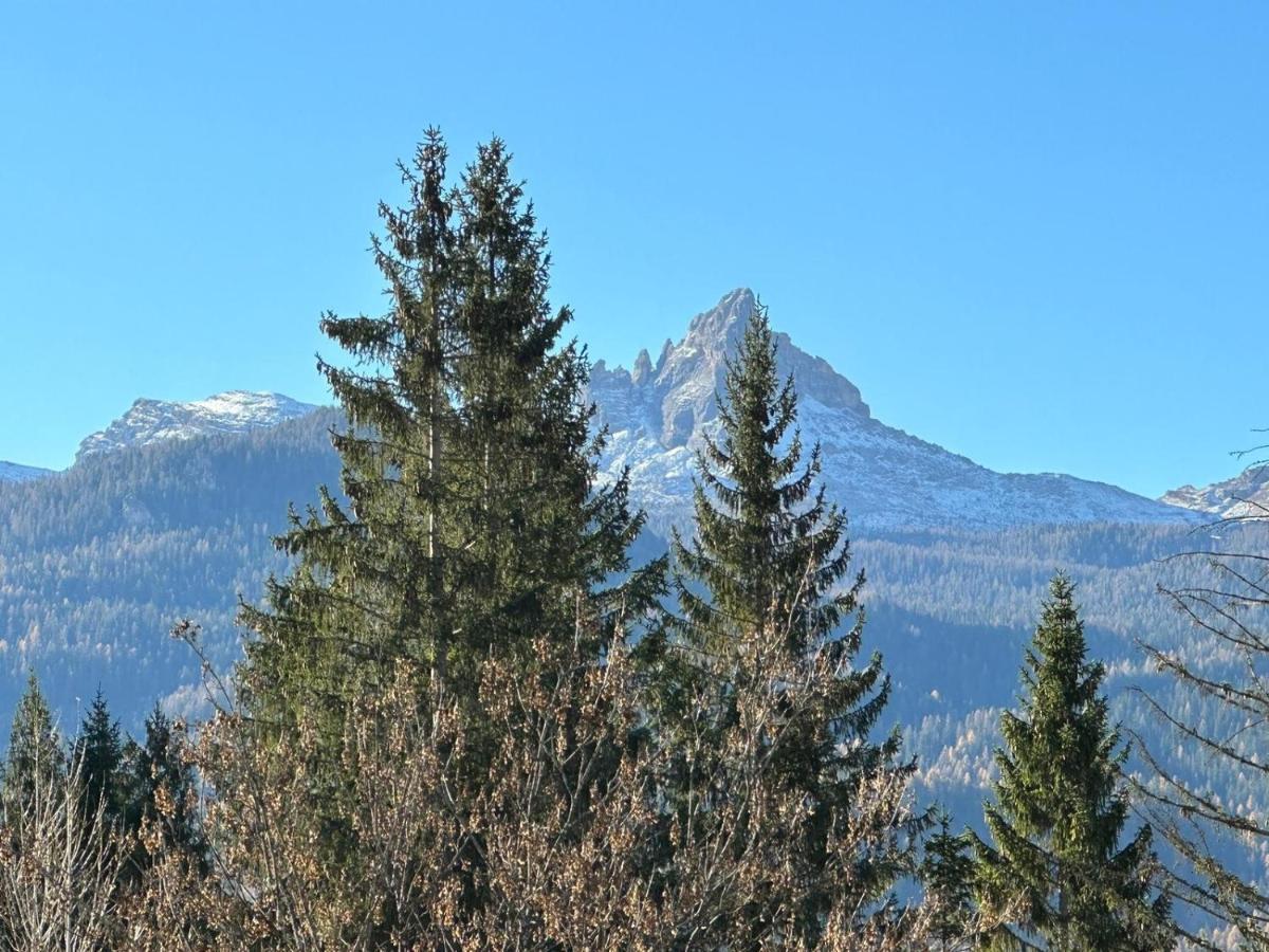 Hotel Serena Cortina Кортина д'Ампецо Екстериор снимка