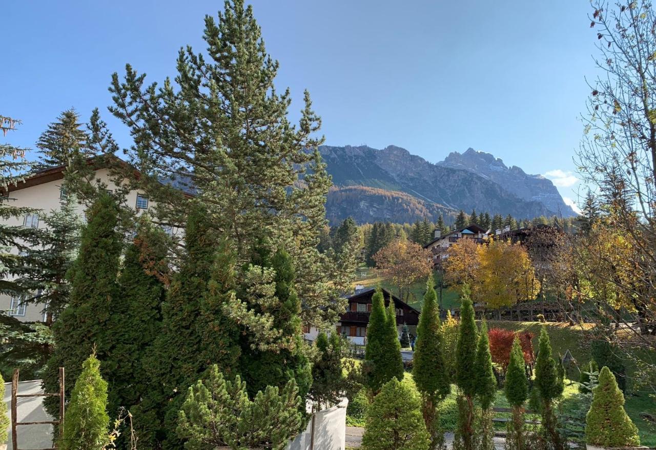 Hotel Serena Cortina Кортина д'Ампецо Екстериор снимка