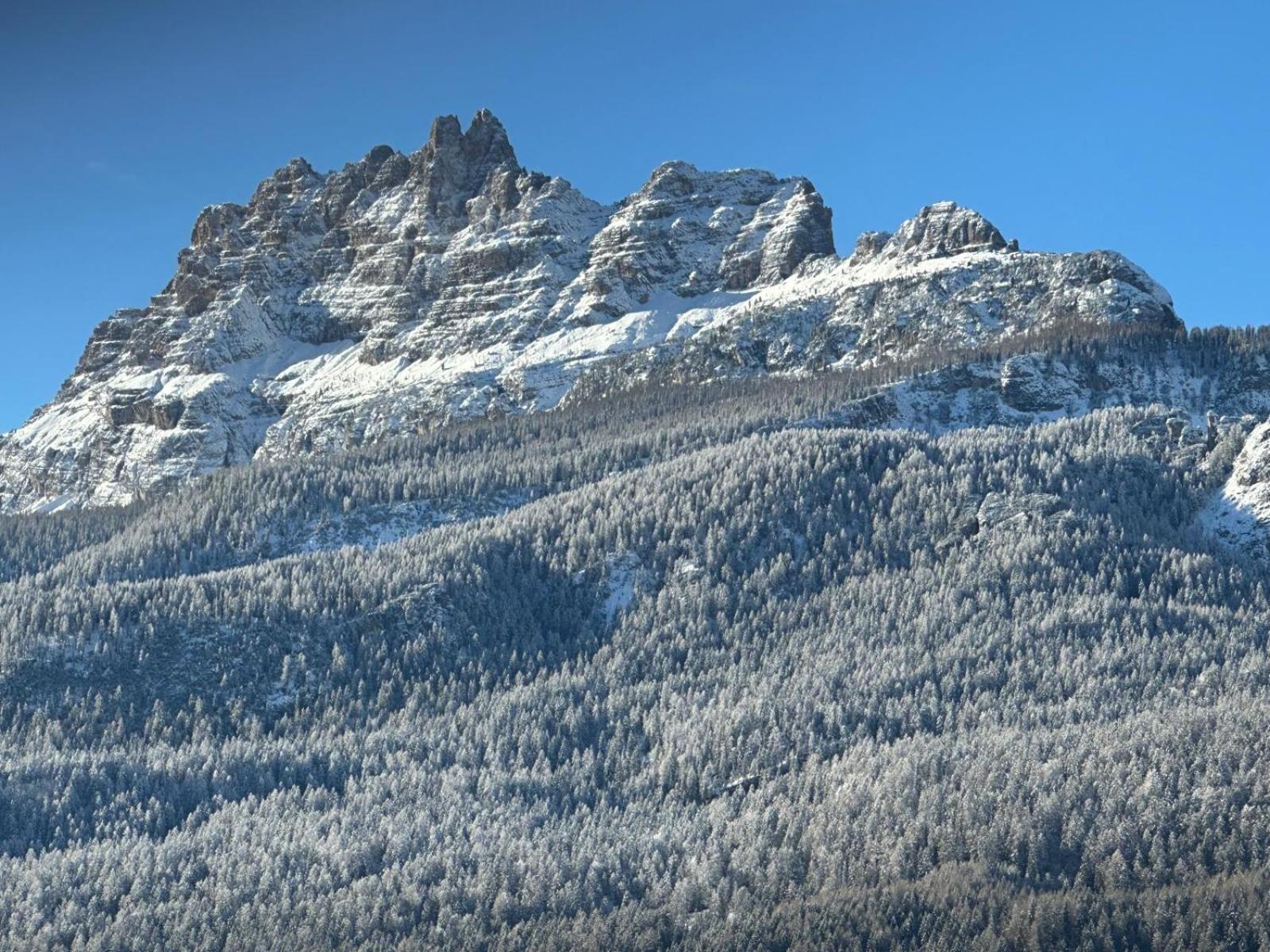 Hotel Serena Cortina Кортина д'Ампецо Екстериор снимка